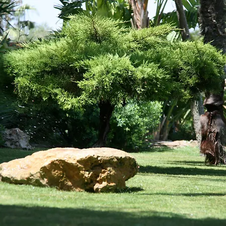 Hotel Setar Sant'Andrea (Sardinia)